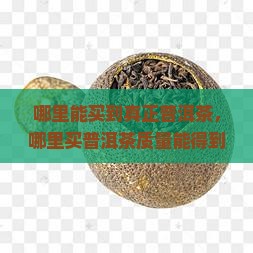 哪里能买到真正普洱茶