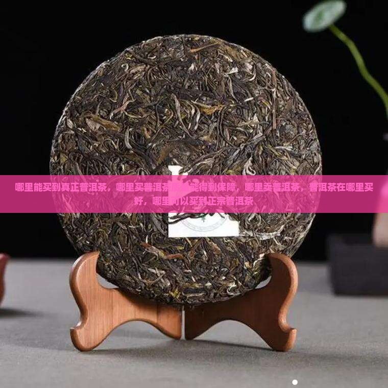 哪里能买到真正普洱茶