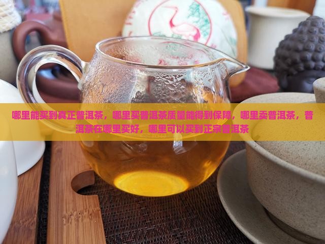 哪里能买到真正普洱茶