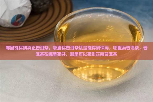 哪里能买到真正普洱茶