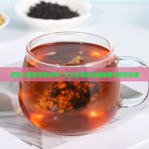 肥胖人喝普洱茶好吗女士