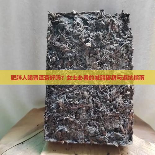 肥胖人喝普洱茶好吗女士