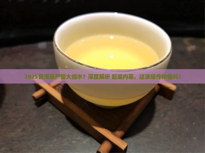 今年普洱茶为什么减产