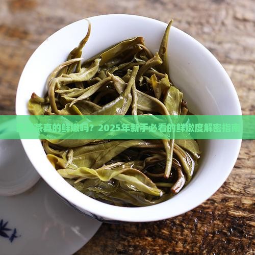 普洱茶的鲜嫩程度怎么样