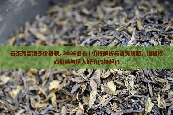 云茶苑普洱茶价格表