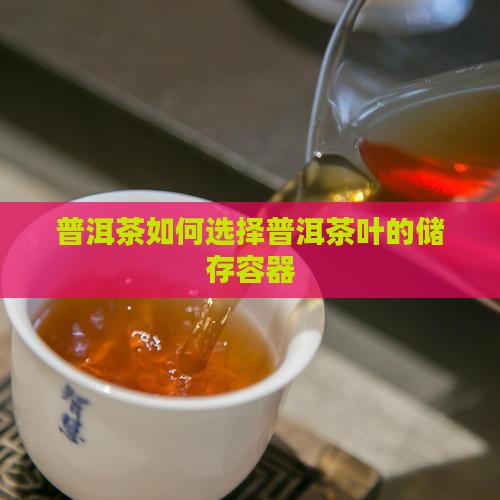 普洱茶用什么来装好