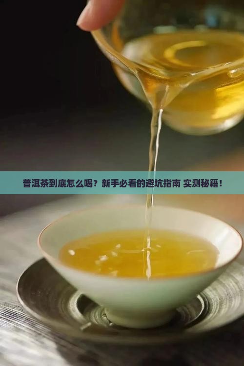 普洱茶专业入门知识