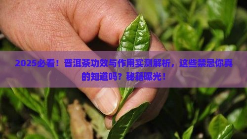 普洱茶的功效与作用禁忌有哪些