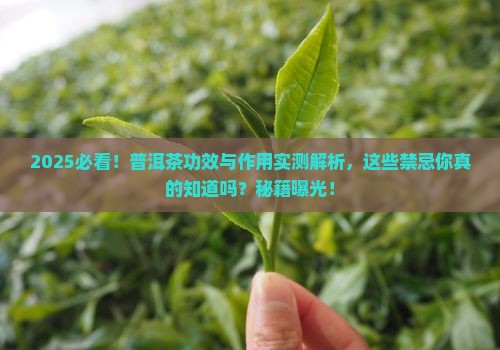 普洱茶的功效与作用禁忌有哪些