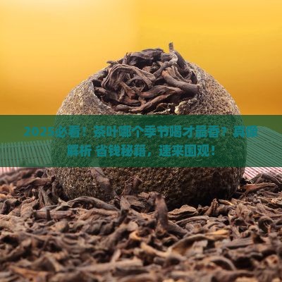 茶叶什么季节才好