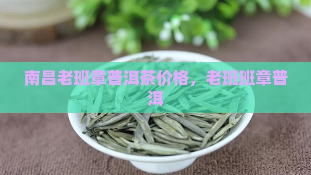 南昌老班章经销商