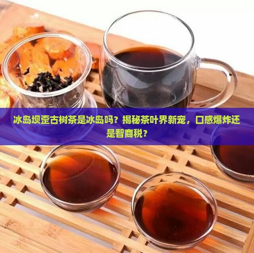 冰岛坝歪古树茶是冰岛吗