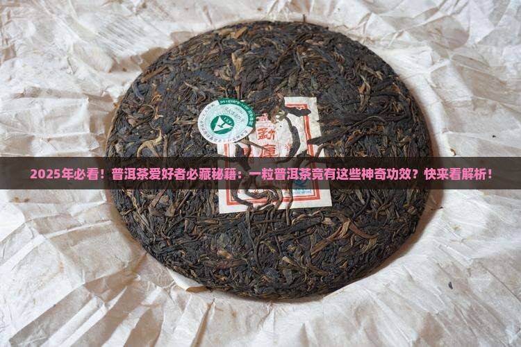 一粒普洱茶的功效与作用