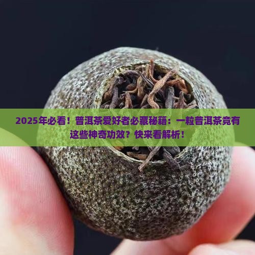 一粒普洱茶的功效与作用