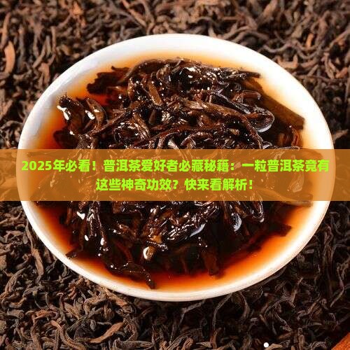 一粒普洱茶的功效与作用