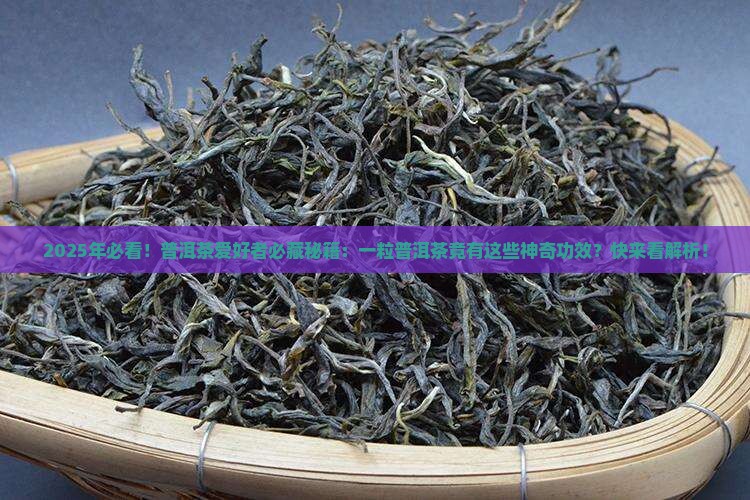 一粒普洱茶的功效与作用