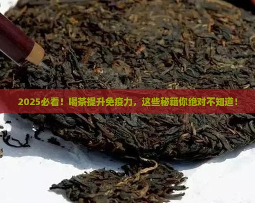 喝什么茶增加免疫