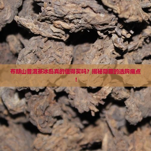 布朗山普洱茶冰岛