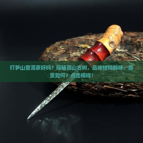 打笋山普洱茶好吗