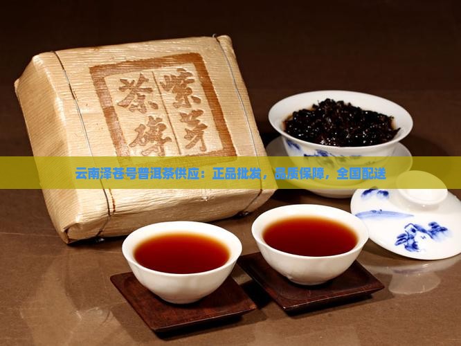 云南泽苍号普洱茶供应