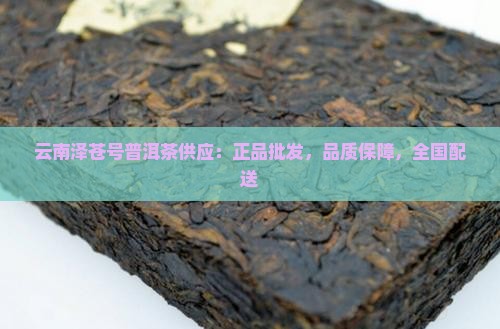 云南泽苍号普洱茶供应