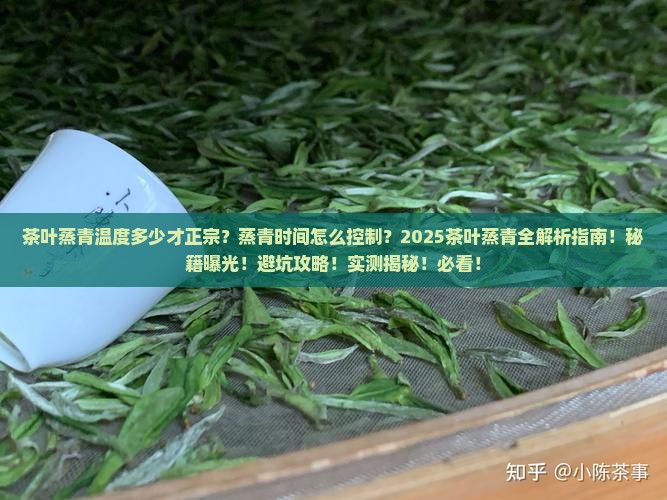 茶叶蒸青的温度和时间