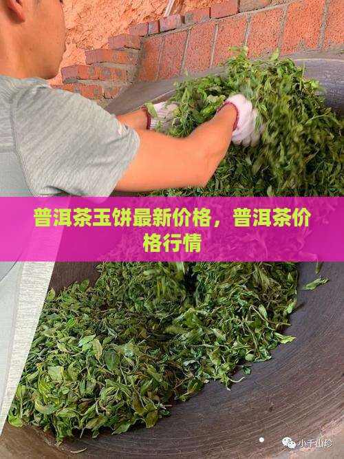 玉佩普洱茶价格