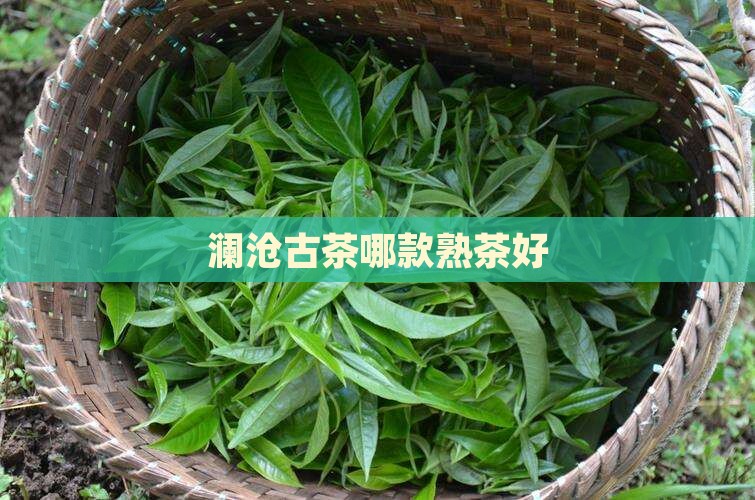 澜沧古茶哪款熟茶好