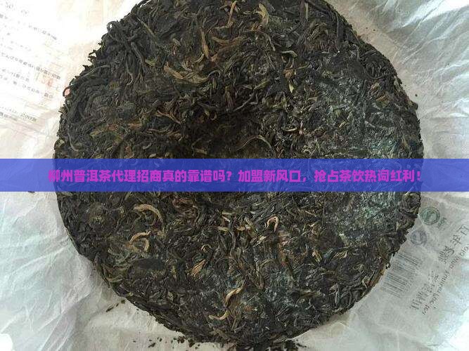 柳州普洱茶代理招商