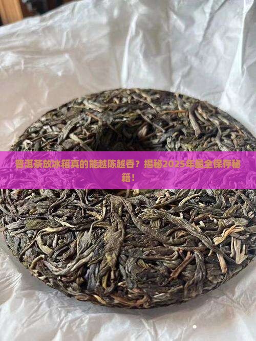 普洱茶怎么样放冰箱