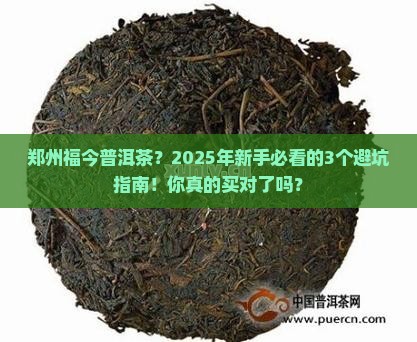 郑州福今普洱茶