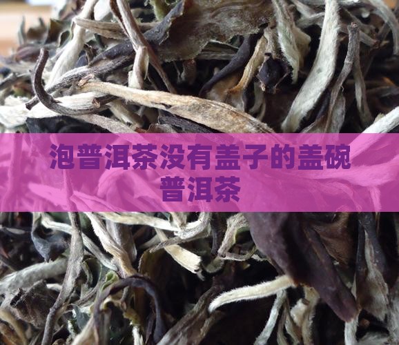 泡普洱茶没有盖子的碗