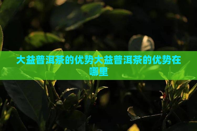 大益普洱茶的优势