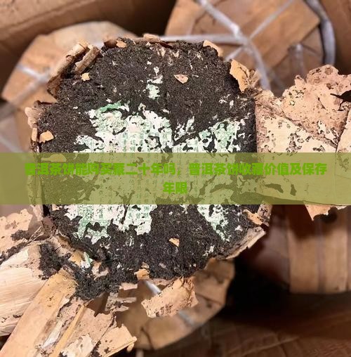 普洱茶饼能购买藏二十年吗