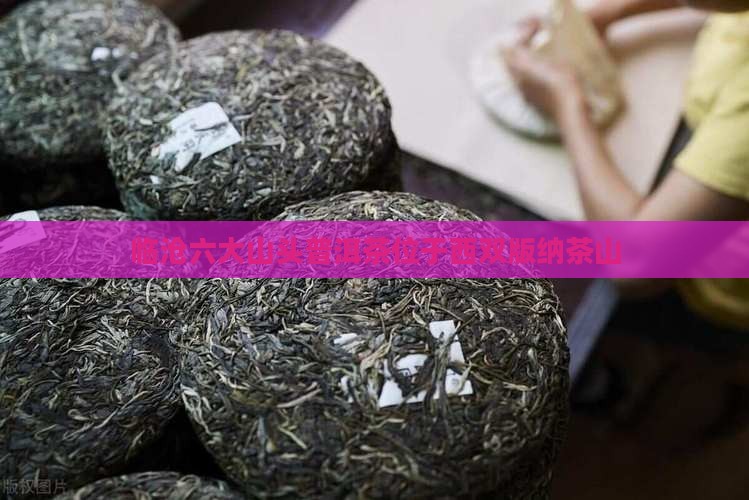 临沧六大山头普洱茶