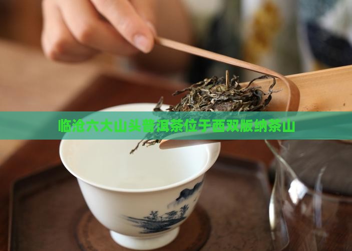 临沧六大山头普洱茶