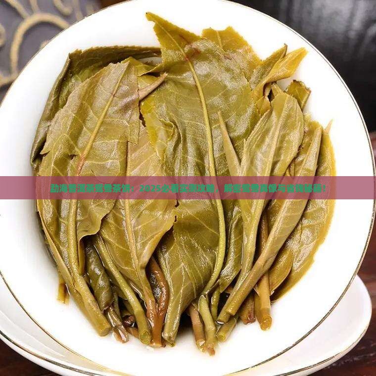 勐海普洱茶鸳鸯茶饼