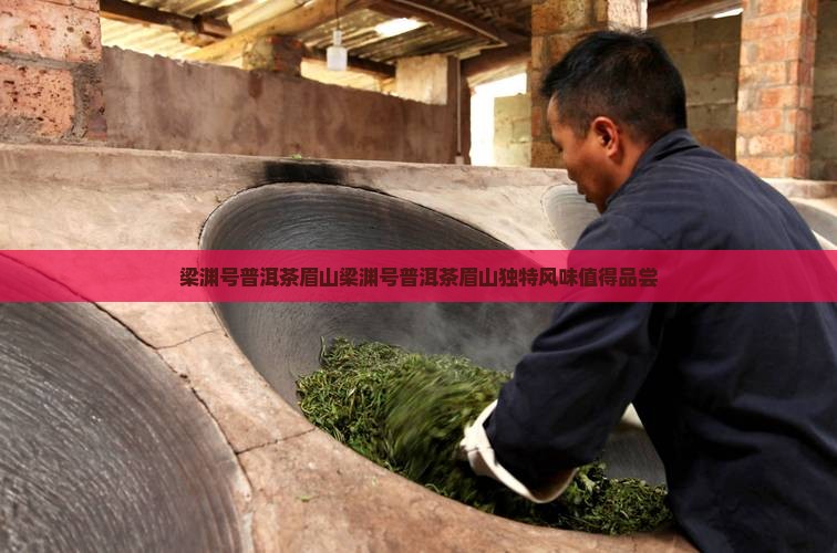 梁渊号普洱茶眉山