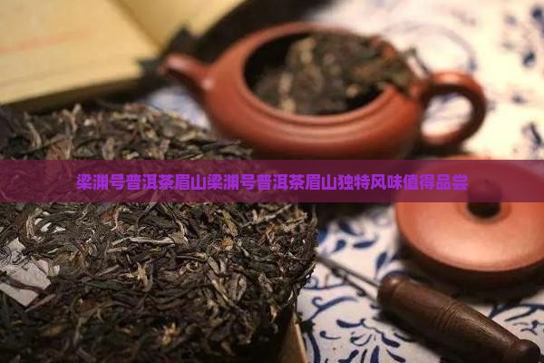 梁渊号普洱茶眉山