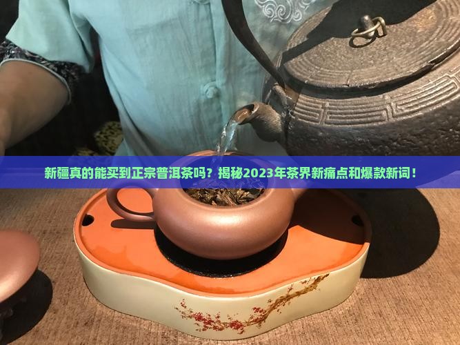 新疆卖普洱茶的店