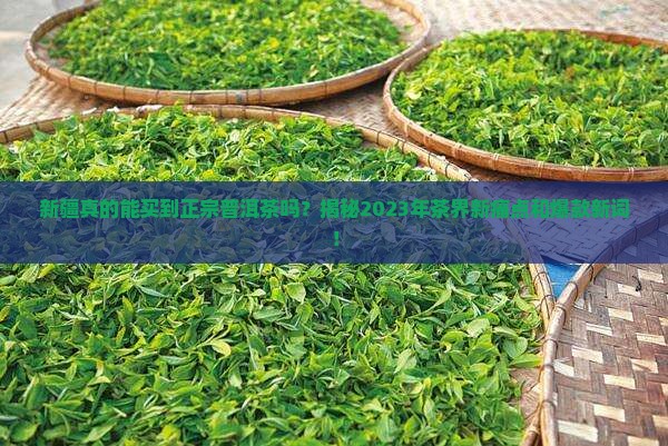 新疆卖普洱茶的店