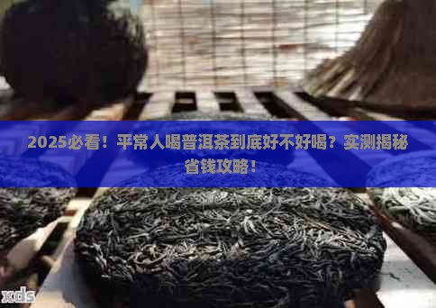 平常人喝普洱茶好不好喝