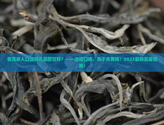 普洱茶入口甜好还是回甘好
