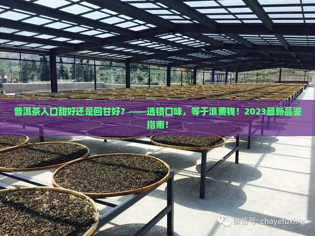 普洱茶入口甜好还是回甘好