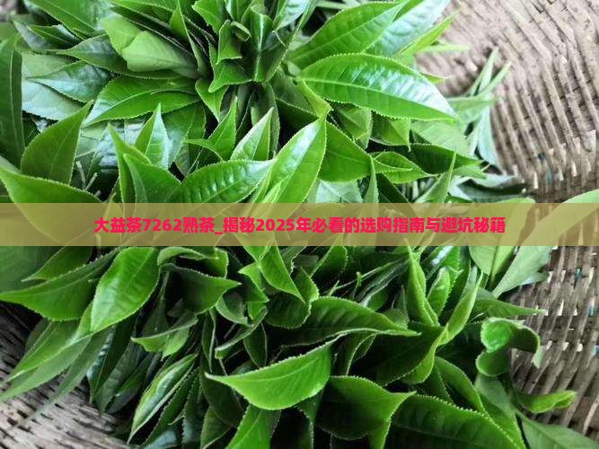 大益茶7262熟茶