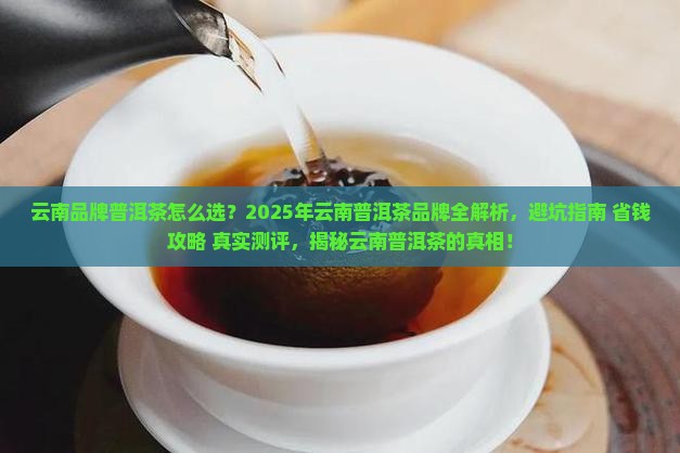 云南品牌普洱茶