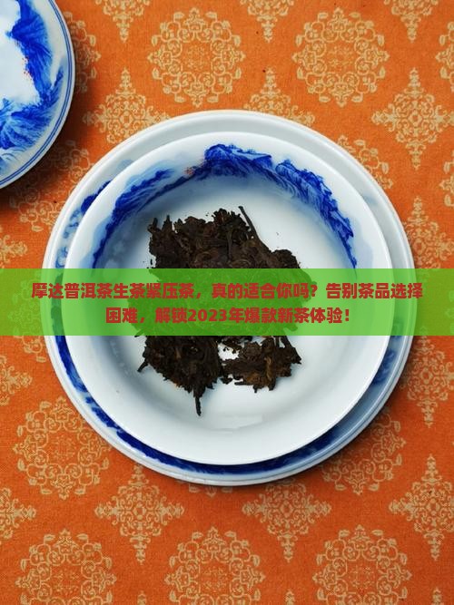 摩达普洱茶生茶紧压茶