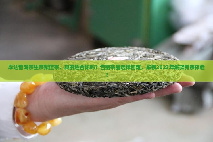 摩达普洱茶生茶紧压茶