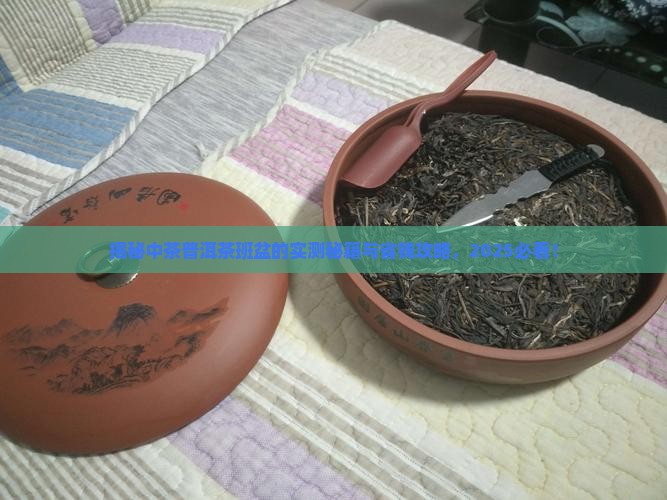 中茶普洱茶班盆