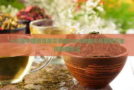 十三届中国普洱茶交易会